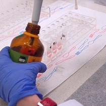 Video: Formation of Covalent DNA Adducts by Enzymatically Activated Carcinogens and Drugs In Vitro and Their Determination by 32P-postlabeling