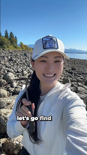 Foraging for oysters in BC!