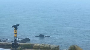 Looking down from the 200ft granite clifftops here at Land's End is always a spectacular view & recently the waters below have been buzzing with activity!🐟 Just next to the rocks you can see the Bluefin Tuna splashing around, a really magical sight to witness here at Land's End! 🌊 | Land's End Landmark