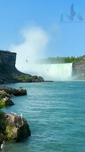 Shower in the sunshine | Niagara Action