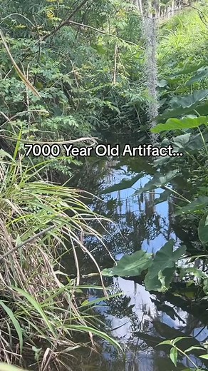 54K views · 1.7K reactions | The Russian Archaeologist Watch the full video on my youtube! (In bio) #native #nativetiktok #nativeamerican #relic #arrowhead | The Russian Archaeologist | Facebook