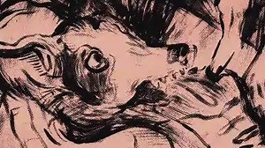 213K views · 2.8K reactions | HEART OF A DOG, il lungometraggio di...