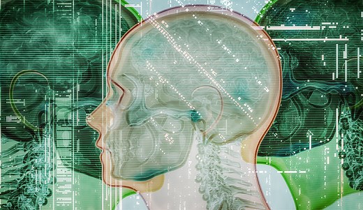 An AI System With Detailed Diagnostic Reasoning Makes Its Case