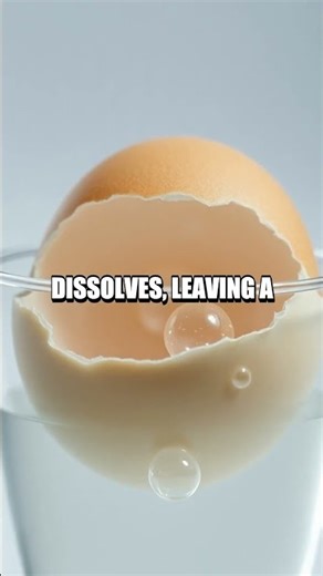 Home Lab Sparks New Experiments You Haven’t Tried Yet