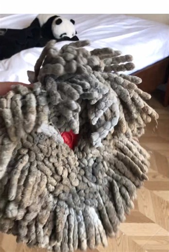 Essential Mopping Tips for a Sparkling Home