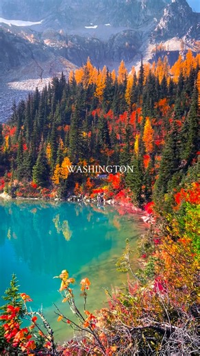 264K views · 93K reactions | An amazing place to see beautiful fall colors  This was easily one of the best fall season views I’ve seen. With peak autumn colors it doesn’t get any better   North Cascades National Park #washingtonstate #pnw #northcascades #autumn #fall #pacificnorthwest #hiking #travel #adventure | Ryan Resatka | Facebook