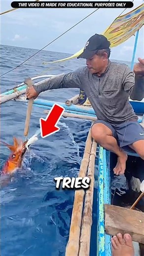 How Squids Use Ink To Escape Predators? | #shorts