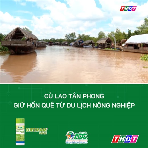 Cù lao Tân Phong - Giữ hồn quê từ du lịch nông nghiệp | Truyền hình Đồng Tháp