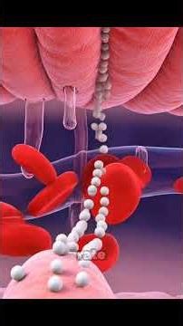 What Happens Inside Your Body When You Make Beans A Regular Part of Your Balanced Diet