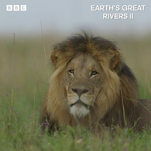 87K views · 1.7K reactions | Journey along the beautiful Zambezi River and meet some elephants, hyenas and more along the way. | BBC Earth | Facebook