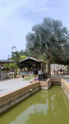 I PUT EVERYTHING INTO MY WORK 💻🎥👑#videoshoot #dancer #videoviral #camera