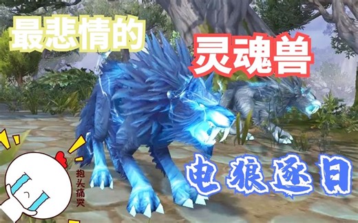 【老司机】魔兽史上最悲情的灵魂兽，电狼逐日（魔兽世界百大系列-猎人宠物46）