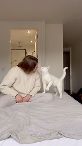 What do you call your cats? And do their nicknames also change with time? Lately Miles have been called Mattie, Moppie, Poppertje, and as always - Papi. #cutestcat #catfluencer #catloversclub #catkisses #catcuddles #lovelycat #lovingcats | Miles Moza