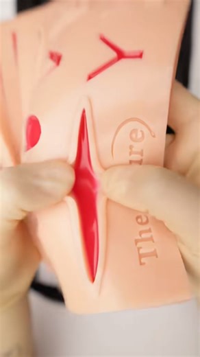 How to Stitch Different Wounds 😷 #suturing #surgeonlife #goodtoknow #vet #medicine #lifehacks