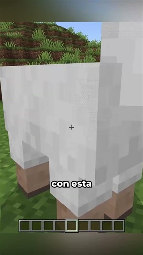 Diferencias entre Minecraft Java vs Bedrock