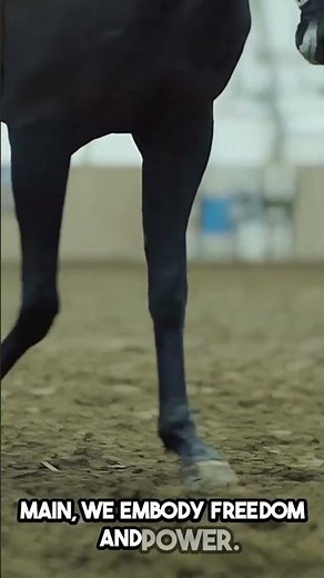 Wild Horses : Running Free: Wild Horses in Action! 🐴