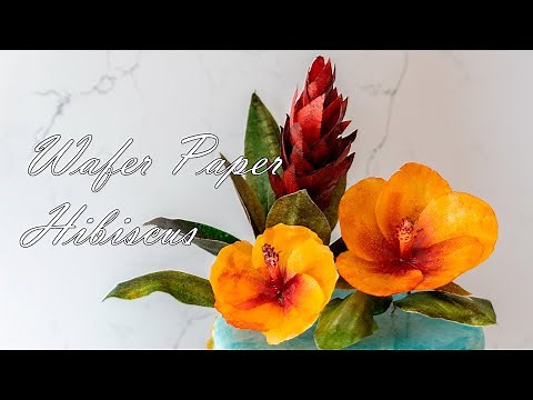 Wafer Paper Hibiscus