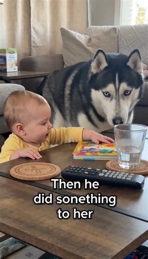 She Could Not Reach It For 5 Minutes He Pushed It To Her One Move 🐕👶