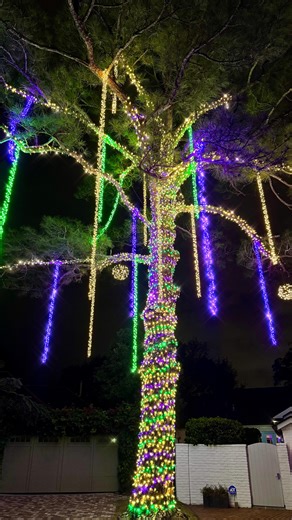 💜💚💛 All dressed up in purple, green & gold! This Mardi Gras tree is stealing the show! 💛💚💜 . . . . . #neworleans #mardigras #nola #bourbonstreet #beads | Amour NOLA