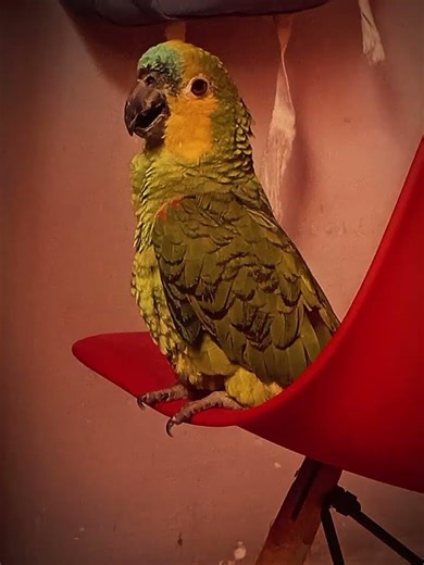 gostei mais ou menos 🫶🏻💗✨️