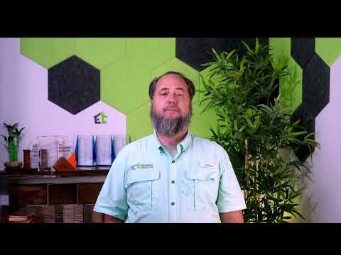 Why Shower Niche Size, Placement, and Waterproofing Matter More Than You Think