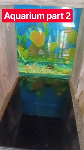 🐠 Beautiful Aquarium Tour | Colorful Fish & Underwater World🌊 Amazing Aquarium Experience | Beautif
