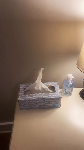 Tissue Folding Tips for Housekeepers