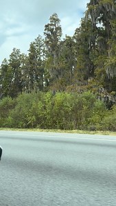 Such a unique vintage travel trailer with a sweet patina VW Bus following behind it… #vintage #vwbus #vw #volkswagen #traveltrailer #vintagerv #vintagetraveltrailer #rv #camper #automotive #oldschool #patina #vdub #vdublove | Matthew Gorman