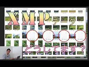 【XMPデータ】どうしてますか？ Photoshop塚本(PST)