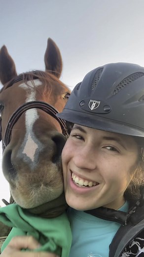 Horse math 😂 | Shelby Dennis - Milestone Equestrian