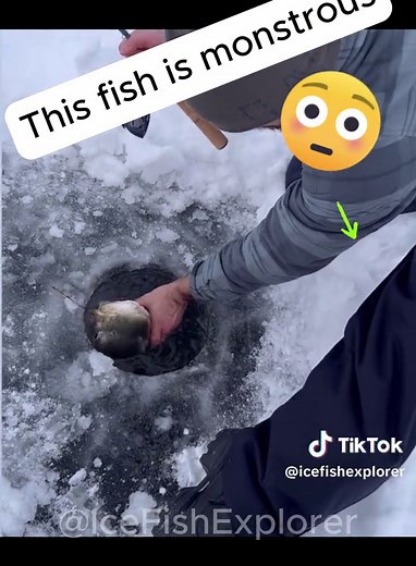 #pike #icefishing #bigfish