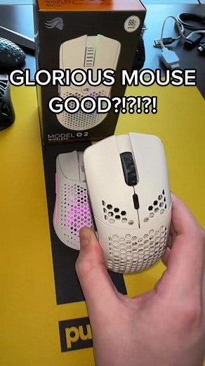 Full Review Coming Soon: Glorious Mouse Build Quality Update