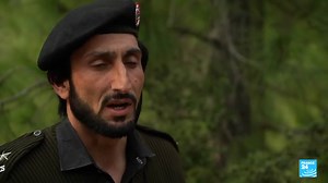 International Day of Forests: Pakistan struggles to fight timber trafficking