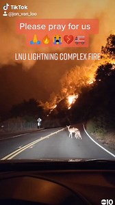 49K views · 433 shares | FIRST PERSON VIEW | A scary look into driving through the wildfires. ABC10 viewer Jon compiled footage he took during the LNU Lightning Complex Fire yesterday morning on his way from Lake Berryessa down to Vacaville. (filmed around 04:30am on August 19) | ABC10 | Facebook