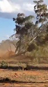 Things not to do in Australia: Bulldoze bushland, post it online, and expect no backlash. A farmer in NSW cleared native scrub for livestock, but this “useless land” could be vital habitat for threatened species 🐦🦇🌿 We don’t need to destroy nature to grow food. We’ve already got 50m hectares of degraded land. 📢 ACF has reported it to the environment department. | Australian Conservation Foundation