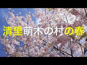 山梨県 清里【萌木の村】の春