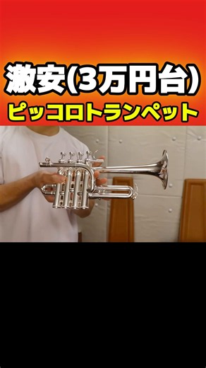 [Insanely Cheap] Piccolo Trumpet Unboxing! [Playtech] #trumpet #trumpet