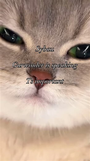 @plstwinsybau on Instagram: "#sybau #twin"