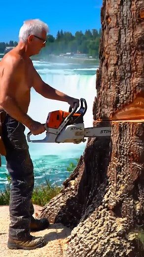 how to cutting general sherman tree | Cut Santry 5