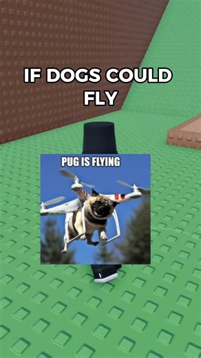 What Would ACTUALLY Happen If Dogs Could Fly? 🐶☁️