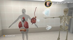 VR Presentation: Chest and Abdomen Anatomy by Bill Ballo