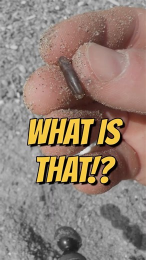 Back-to-Back AMAZING Fossil Finds on the Beach! 4k