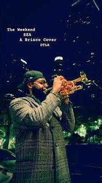 Brixco - The Weekend x SZA *DTLA Cover*