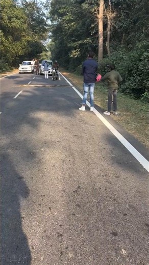 LIVE : BIGGEST PYTHON.