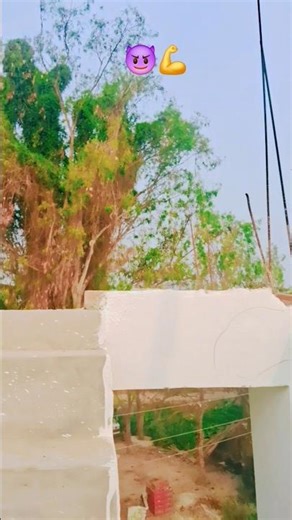 DANCA NA KALABRIA #trending #song #shortfeed