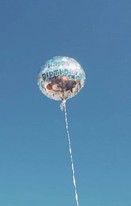 nicole | Studio aires Brows