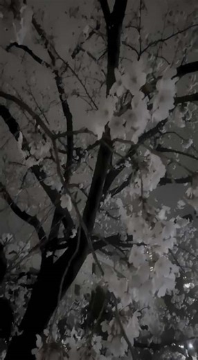 Discover Young Multi: Poland's Best Rapper