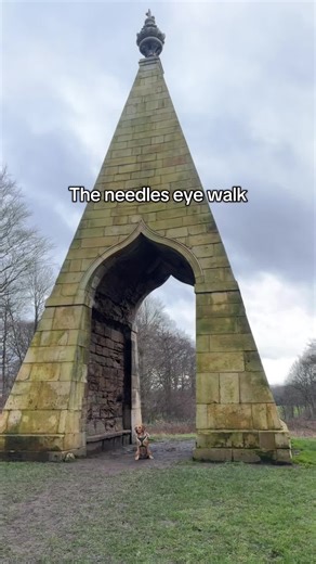 Had to go after seeing the film #wutheringheights #needleseye #dogwalk #fyp #labrador