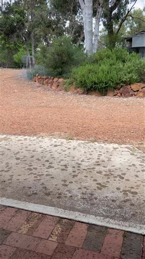 RAIN STORM For a few days our weather forecast apps had been bragging with the possibility of 11 mm of rain for last Sunday afternoon. We thought that it was wishful thinking, and even around noon on Sunday the chance of rain seemed very slim to us. However, the weather suddenly turned very stormy around 4 PM, with lots of thunder and lightning - even causing some bushfires and power outages. We had some light hail and then 16 mm of rain, which came down in a short burst. (Our long-term average 