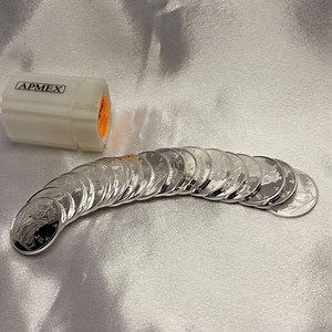 twenty (20) 1/2 ounce .999 silver APMEX Walking Liberty design rounds [C7] | eBay